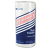Windsoft Paper Towels (100 Sheets)
